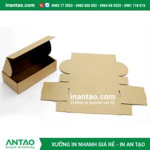 Kỹ thuật bế