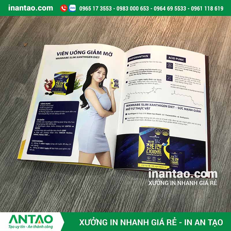 In An Tạo - địa chỉ in catalogue uy tín, chuyên nghiệp hàng đầu tại TP.HCM và Hà Nội.