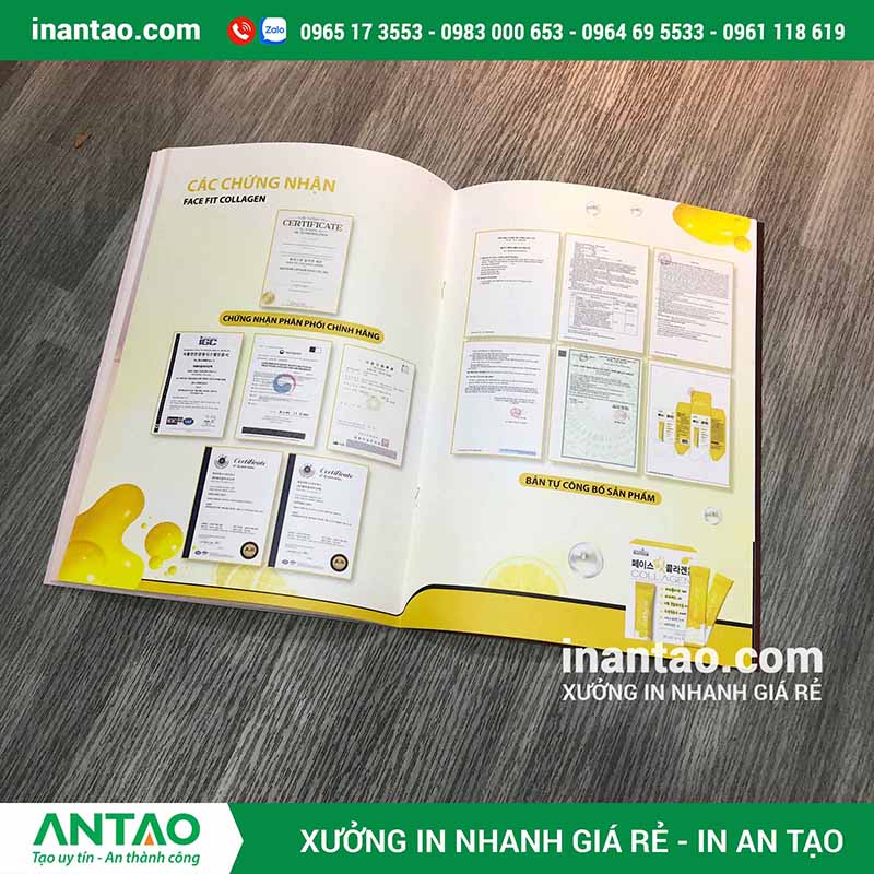 Mẫu catalogue khổ A4 dạng đứng do An Tạo thực hiện, một trong những kích thước phổ biến và được ưa chuộng nhất hiện nay.