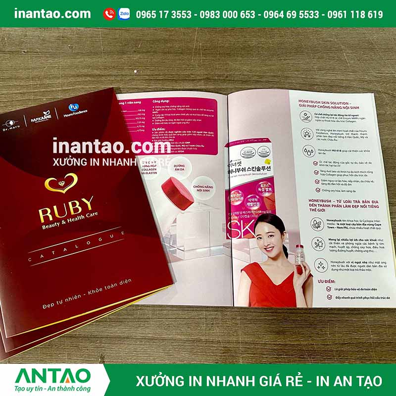 Mẫu catalogue có thiết kế đẹp, sáng tạo và chuyên nghiệp do In An Tạo thực hiện.