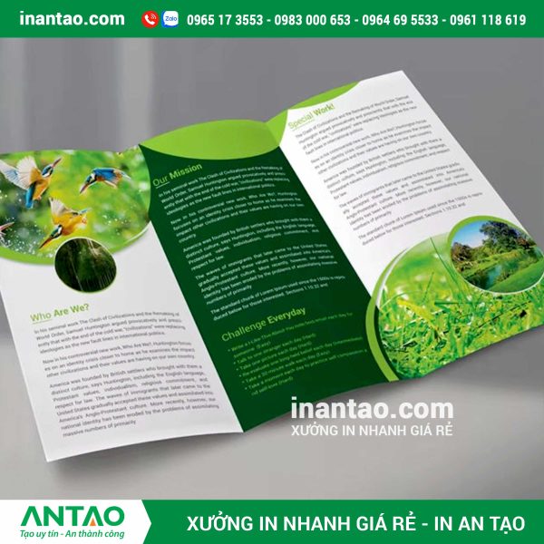 n tờ rơi số lượng lớn.