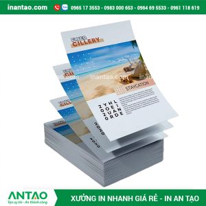 thông tin khuyến mãi trên một tờ rơi quảng cáo.