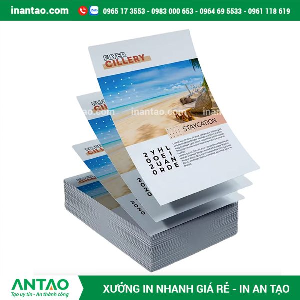 thông tin khuyến mãi trên một tờ rơi quảng cáo.