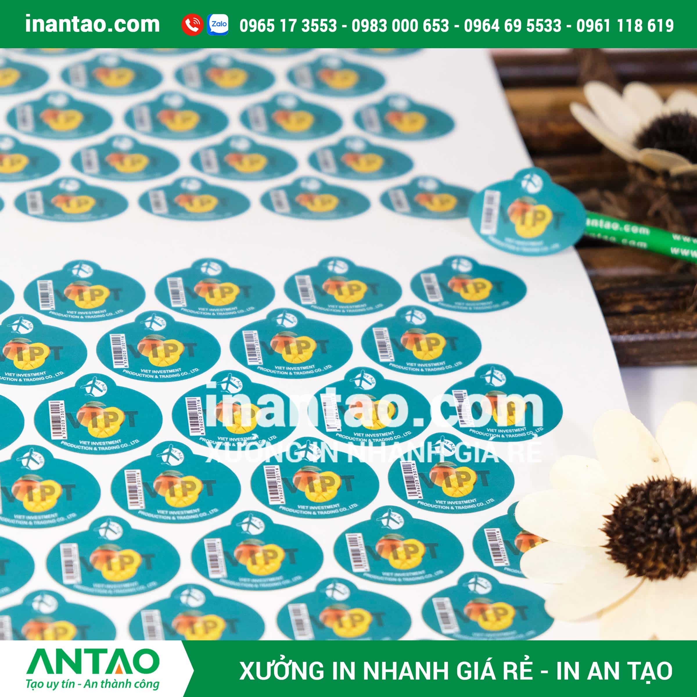 in tem giấy tp hcm