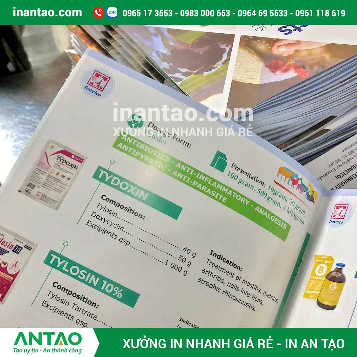 in catalogue quận 1