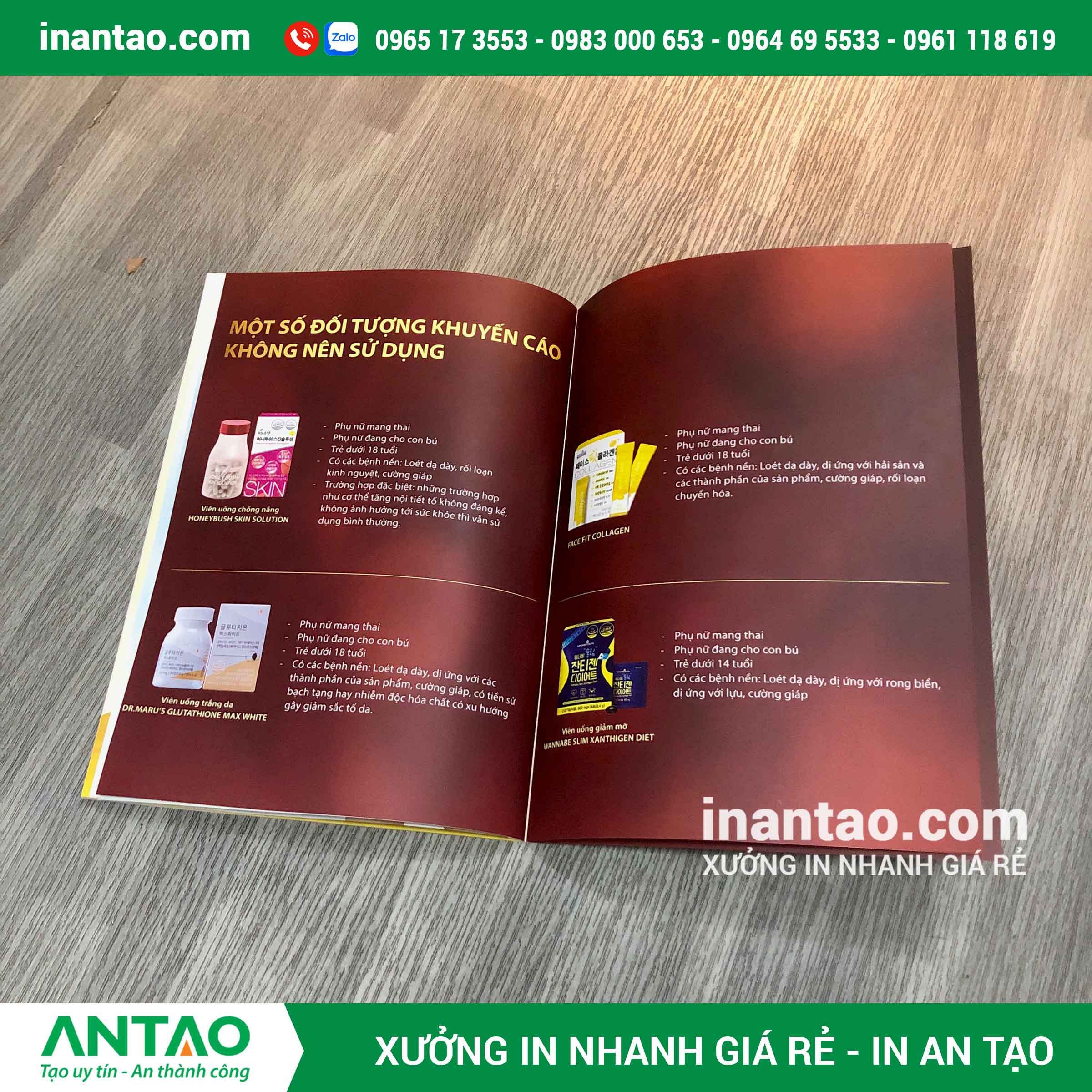 thiết kế catalogue