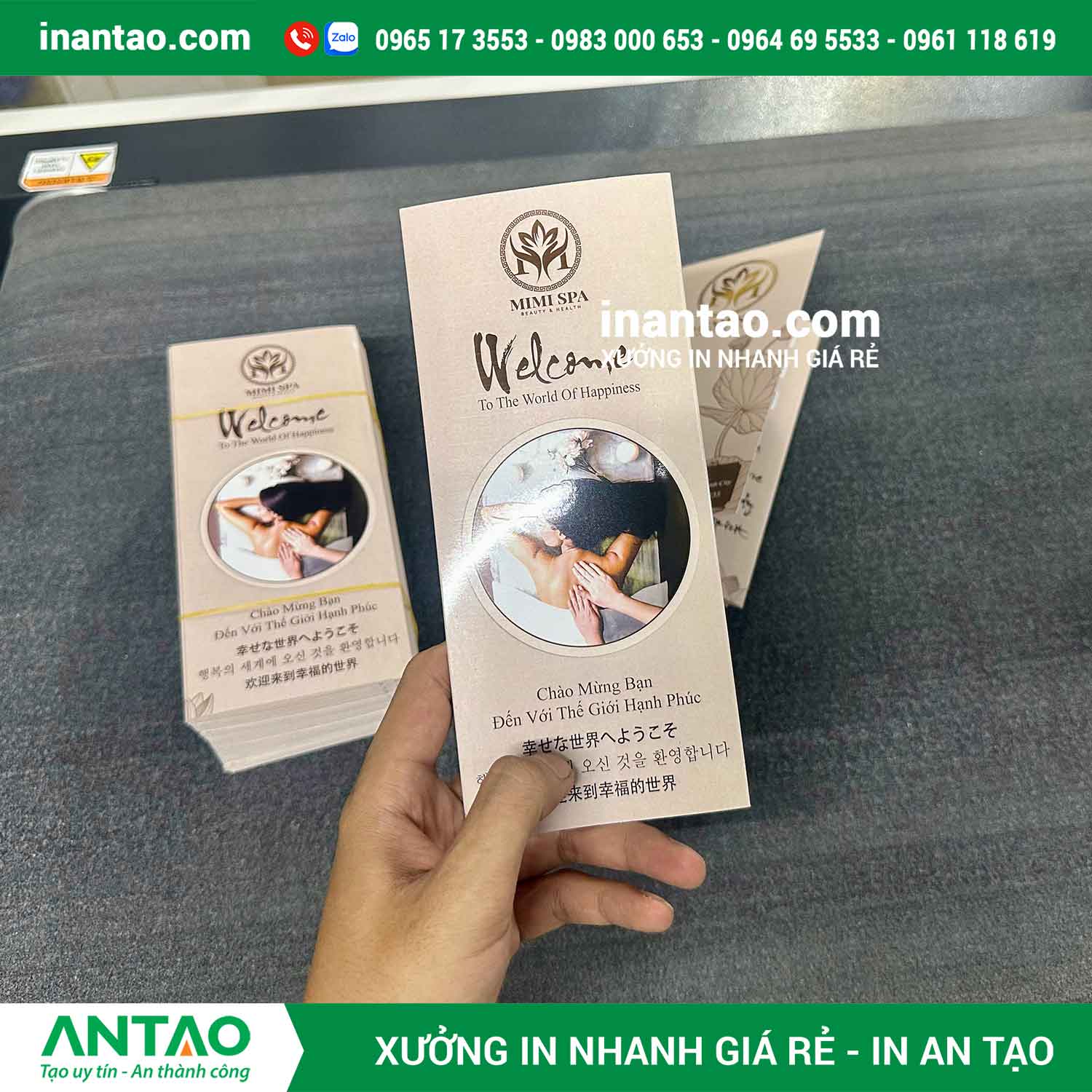 Brochure sản phẩm