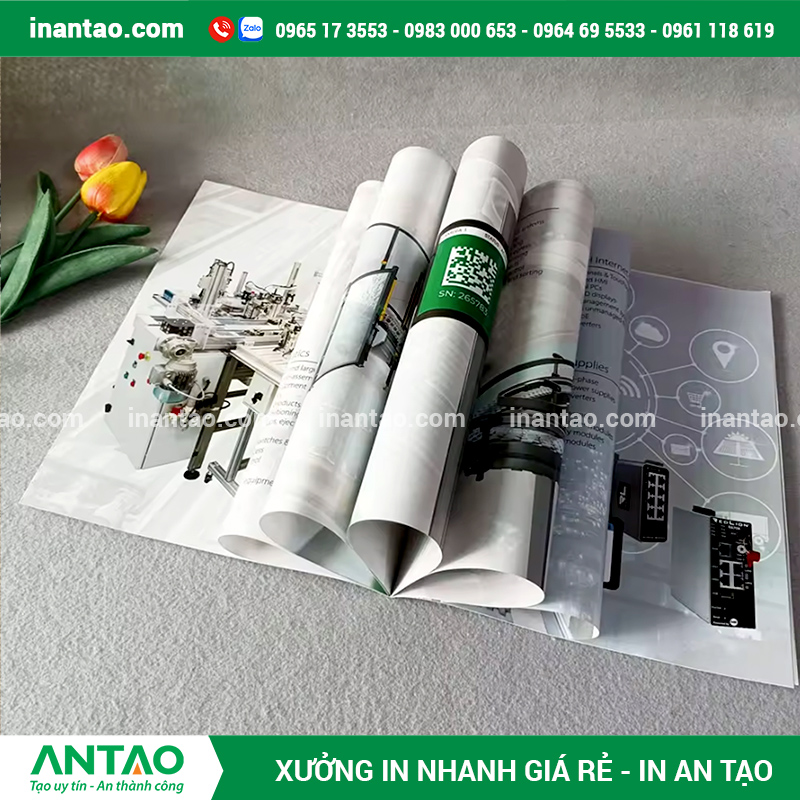 Xưởng In Catalogue Uy Tín TP HCM Xưởng in An Tạo với máy móc hiện đại, là địa chỉ in catalogue uy tín tại TP HCM cho hàng ngàn doanh nghiệp.