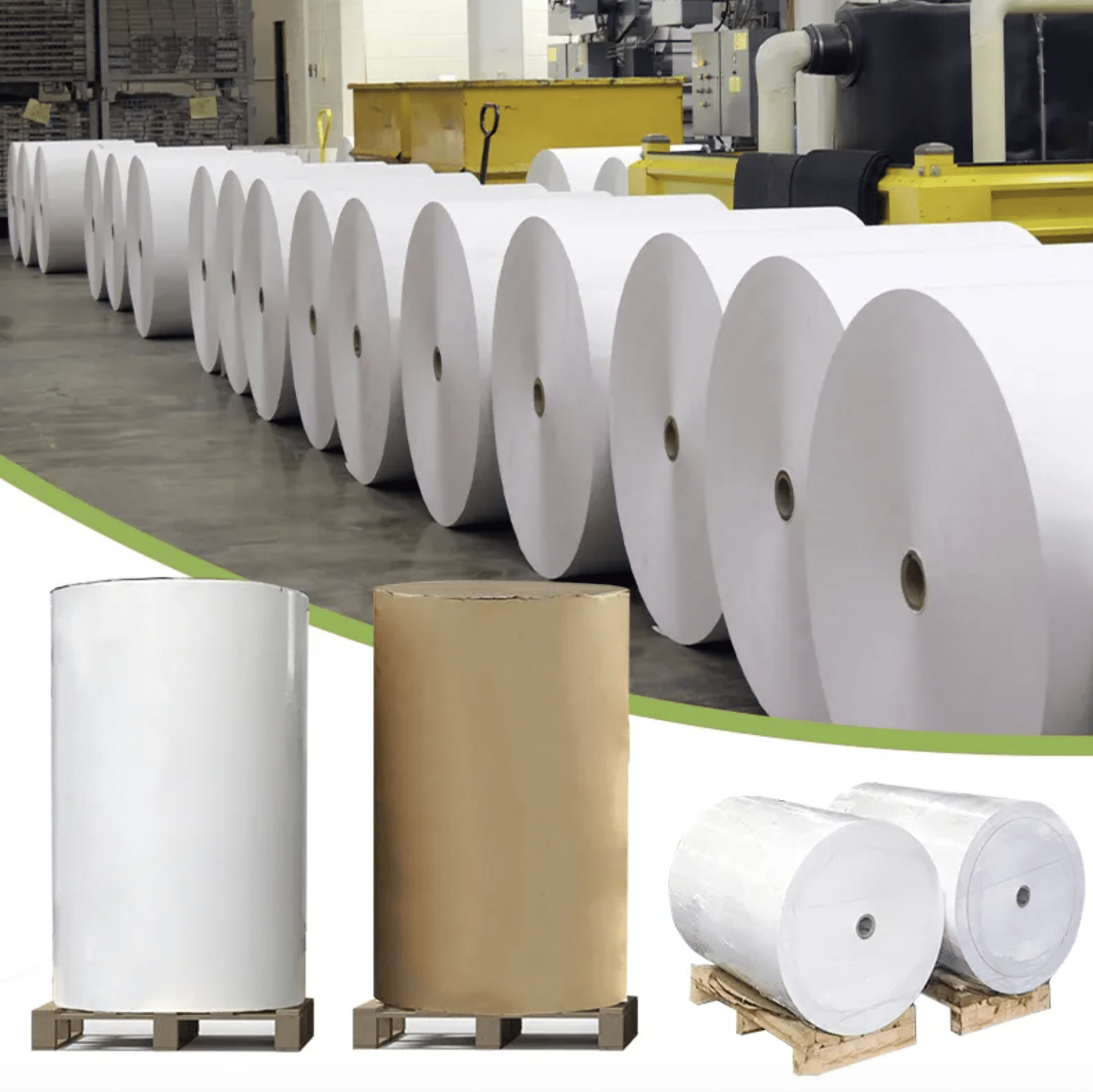 Giấy fort (giấy offset) cuộn