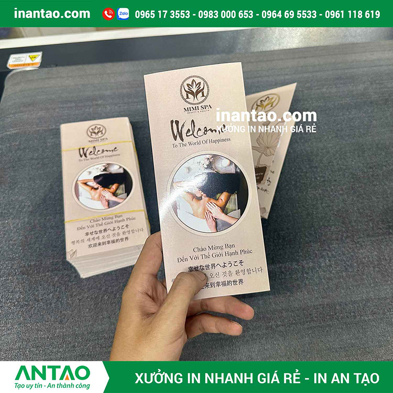 Lựa chọn brochure và catalog Lựa chọn brochure và catalog