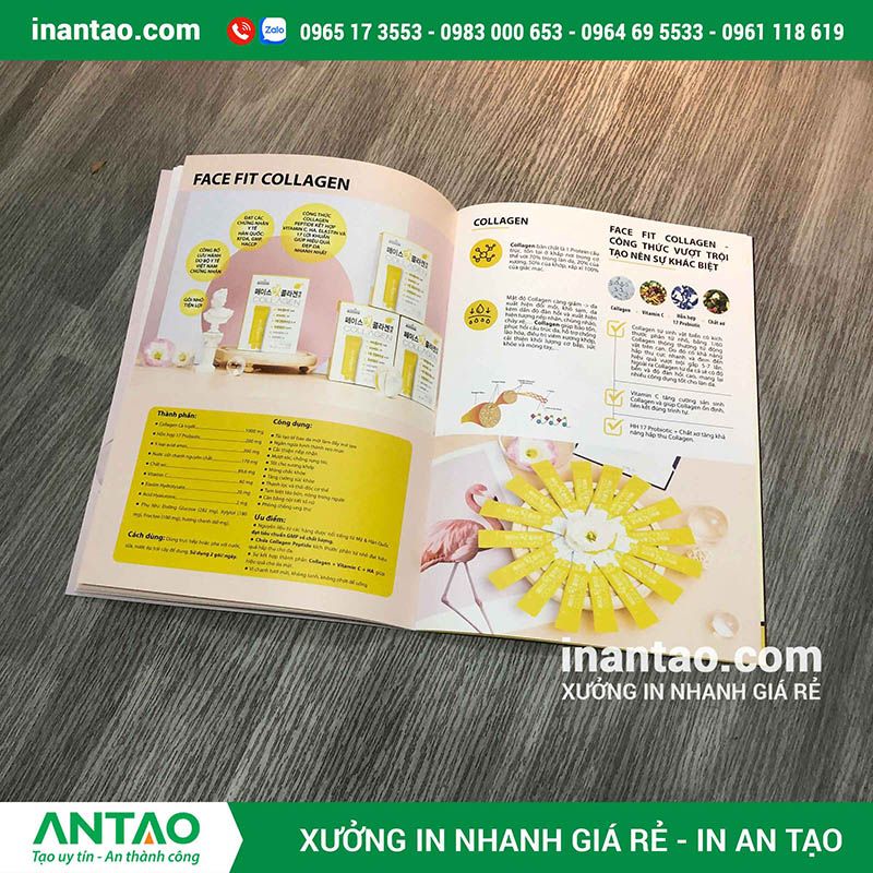 chuyên nghiệp từ A-Z, đặc biệt dành cho những người không chuyên, giúp bạn tự tin biến ý tưởng thành một ấn phẩm ấn tượng và hiệu quả. Cách thiết kế catalogue