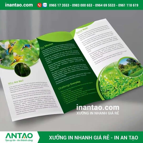 Dịch vụ in brochure TP HCM