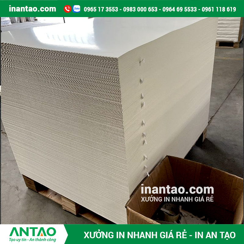 Cấu tạo giấy ivory Cấu tạo giấy ivory