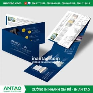 In brochure giá rẻ