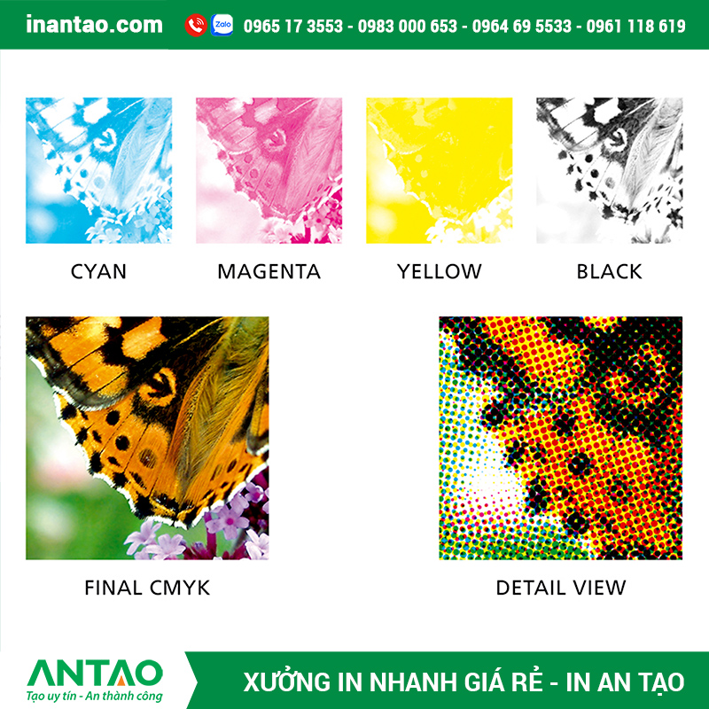 In chuẩn màu sắc tại xưởng in An Tạo In chuẩn màu sắc tại xưởng in An Tạo