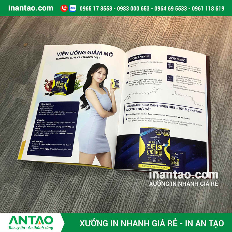 Thiết kế catalogue đẹp Thiết kế catalogue đẹp