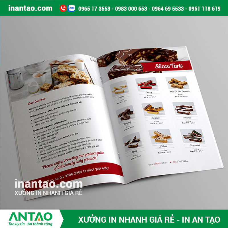 Minh họa các thành phần của một cuốn catalogue được thiết kế chuyên nghiệp.