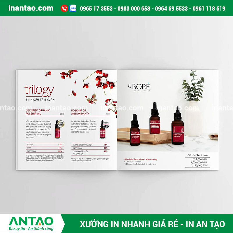 In Catalogue Mỹ Phẩm Chuyên Nghiệp, Đẳng Cấp Catalogue mỹ phẩm cao cấp với thiết kế sang trọng, tinh tế đặt cạnh sản phẩm.