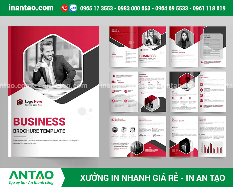 Mẫu catalogue công ty chuyên nghiệp Mẫu catalogue công ty chuyên nghiệp