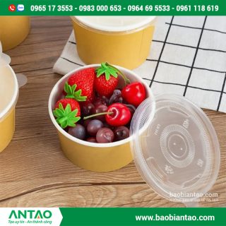 tô giấy 500ml giá rẻ